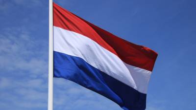 Сборная Нидерландов повела в счете в матче против Австрии на Евро-2020