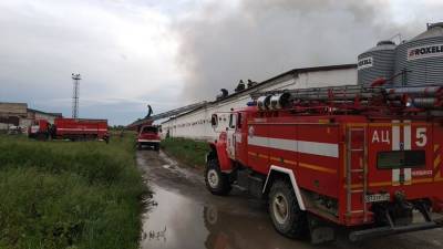 Пожар на птицефабрике под Челябинском ликвидирован