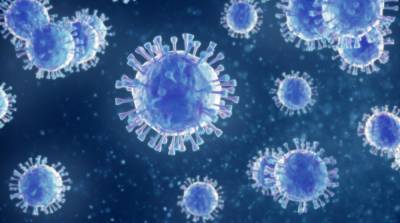 Штамм коронавируса Дельта обнаружили в Литве