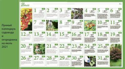 Лунный посевной календарь садовода, цветовода и огородника на июль 2021 года - skuke.net