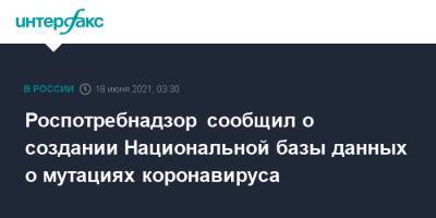 Роспотребнадзор сообщил о создании Национальной базы данных о мутациях коронавируса