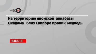 На территорию японской авиабазы Окадама близ Саппоро проник медведь.