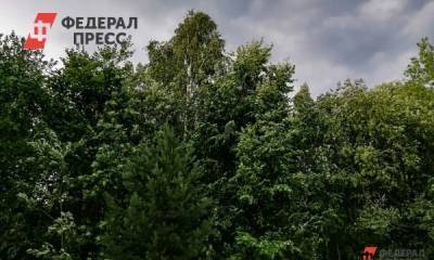 В сибирские регионы после аномальной жары придет осенняя прохлада