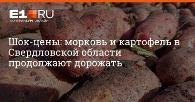 Шок-цены: морковь и картофель в Свердловской области продолжают дорожать