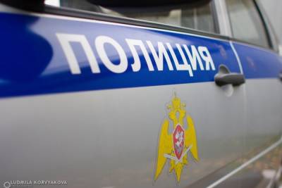 Жители Петрозаводска обратились в полицию: мужчина пытался увести чужих детей