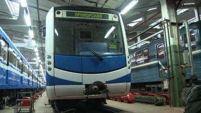 Двое мужчин устроили драку в вагоне на станции метро "Приморская"