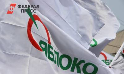 «Яблоко» выдвинет в Госдуму экс-директора екатеринбургского ДИВСа