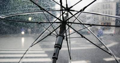 Погода в Украине 18 июня: дожди и жара