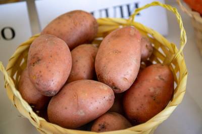 В Свердловской области резко дорожает картофель