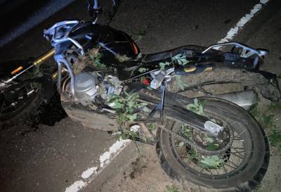 Мотоциклист погиб, врезавшись в лося на темной дороге в Тверской области