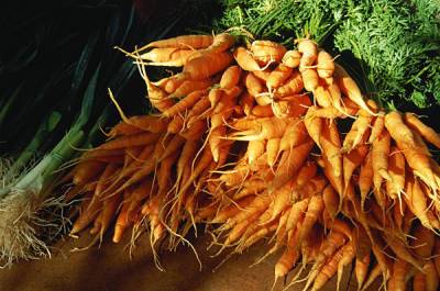 В России цены на морковь выросли вдвое с начала года