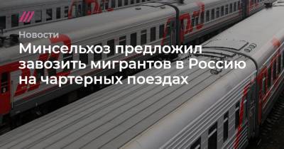 Минсельхоз предложил завозить мигрантов в Россию на чартерных поездах