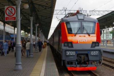 Трудовых мигрантов планируют ввозить в Россию на чартерных поездах