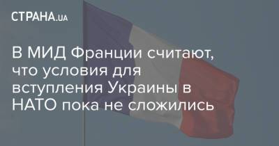В МИД Франции считают, что условия для вступления Украины в НАТО пока не сложились