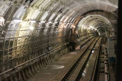 Проектирование коричневой линии метро возобновится в Петербурге
