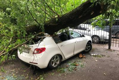 В Херсоне из-за непогоды деревья раздавили две машины, а в Одессе - потоп