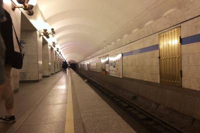 В Петербурге возобновят проектирование «коричневой» ветки метро