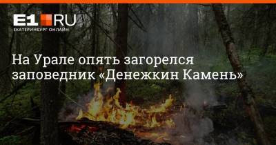На Урале опять загорелся заповедник «Денежкин Камень»