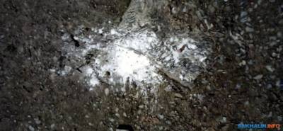 В парке Южно-Сахалинска неизвестные рассыпают белый порошок