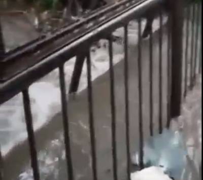 Мощный ливень затопил часть вольеров с животными в ростовском зоопарке