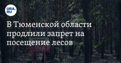 В Тюменской области продлили запрет на посещение лесов