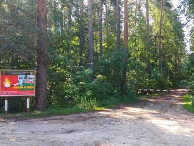 В Липецкой области вновь ограничили посещение лесов