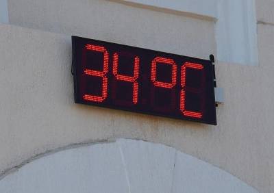 Рязанские синоптики предупредили жителей региона о 30-градусной жаре