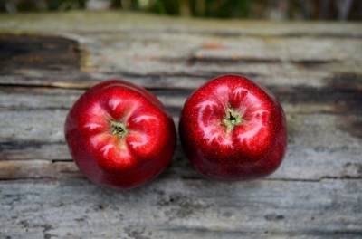 USDA прогнозирует падение производства яблок в мире: названа причина