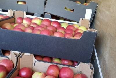 40 тонн «неправильных» томатов и яблок задержали на Смоленской таможне