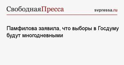 Памфилова заявила, что выборы в Госдуму будут многодневными
