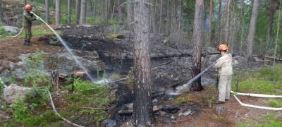 Туристы потушили пожар на острове в Ладожском озере в Карелии (ФОТО)