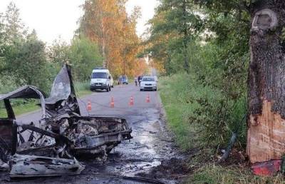 В Калинковичском районе легковушка врезалась в дерево и загорелась – погибла пассажирка