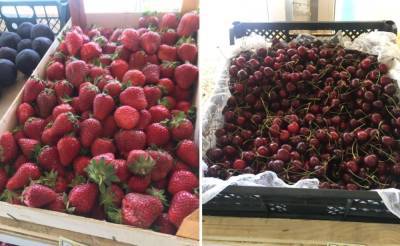 В Твери продавали подозрительные ягоды