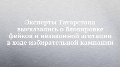 Эксперты Татарстана высказались о блокировке фейков и незаконной агитации в ходе избирательной кампании