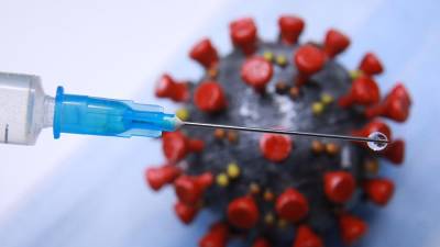Ученые ФМБА России выявили новые линии коронавируса