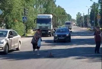 В Тверской области поток машин остановился, чтобы пропустить через дорогу утиное семейство
