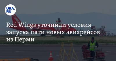 Red Wings уточнили условия запуска пяти новых авиарейсов из Перми