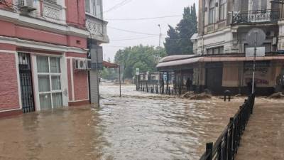 В результате наводнения в Ялте полностью затоплен крокодиляриум