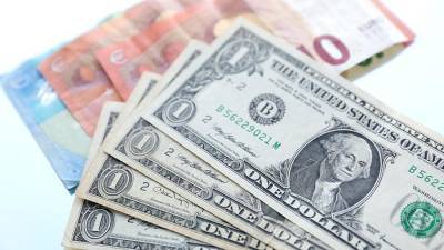 Эксперт назвал сроки восстановления спроса на наличную валюту у россиян