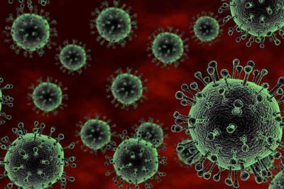 Скворцова сообщила об эффекте «ускользания» новых вариантов коронавируса