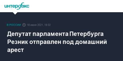 Депутат парламента Петербурга Резник отправлен под домашний арест
