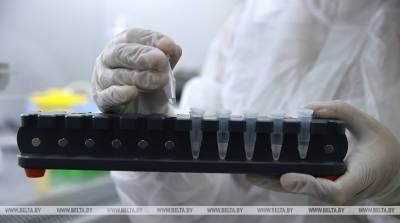 Тест-систему для быстрого определения основных мутаций коронавируса разработали в России