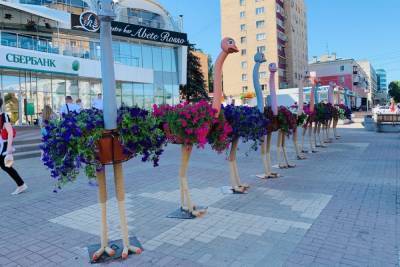 В Курска на улице Ленина установили 11 двухметровых страусов