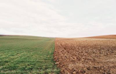 В Ярославской области в ходе рейдового осмотра обследовано порядка 10 гектаров земель сельскохозяйственного назначения