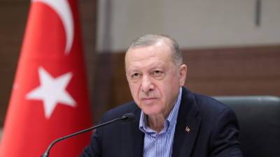 Эрдоган заявил об успешном испытании турецкой противокорабельной ракеты