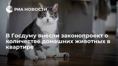 Госсовет Татарстана внес в Госдуму законопроект о количестве домашних животных в квартире