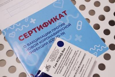 В Петербурге задержали продавцов поддельных документов о вакцинации от COVID-19