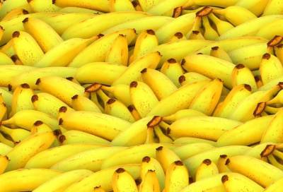 Специалист рассказал, с какими продуктами не нужно употреблять бананы