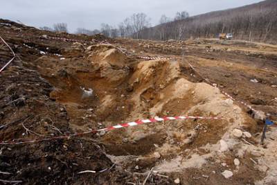 В российском регионе нашли новые останки на месте захоронения жертв фашистов
