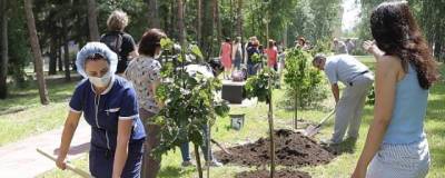 В Новосибирске высадили аллею в память о донорах органов